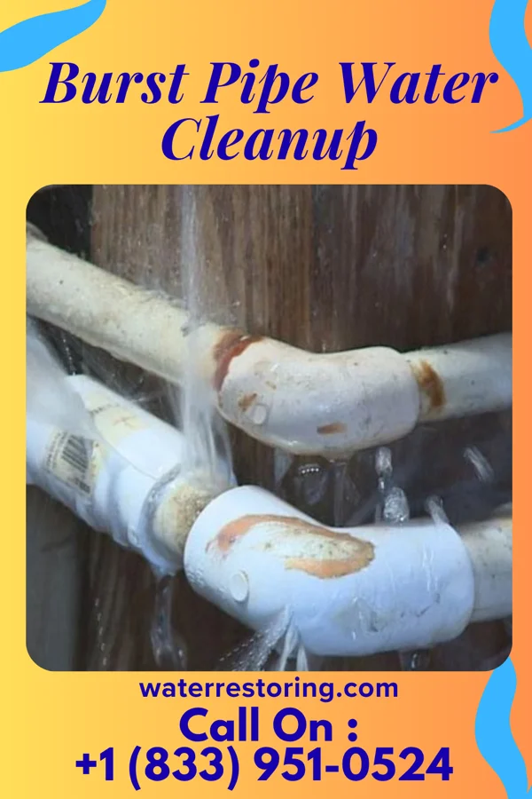 Burst Pipe Water Cleanup in Milan, MO