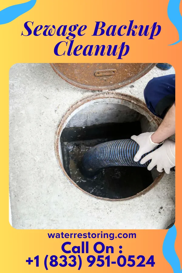 Sewage Backup Cleanup in Milan, MO