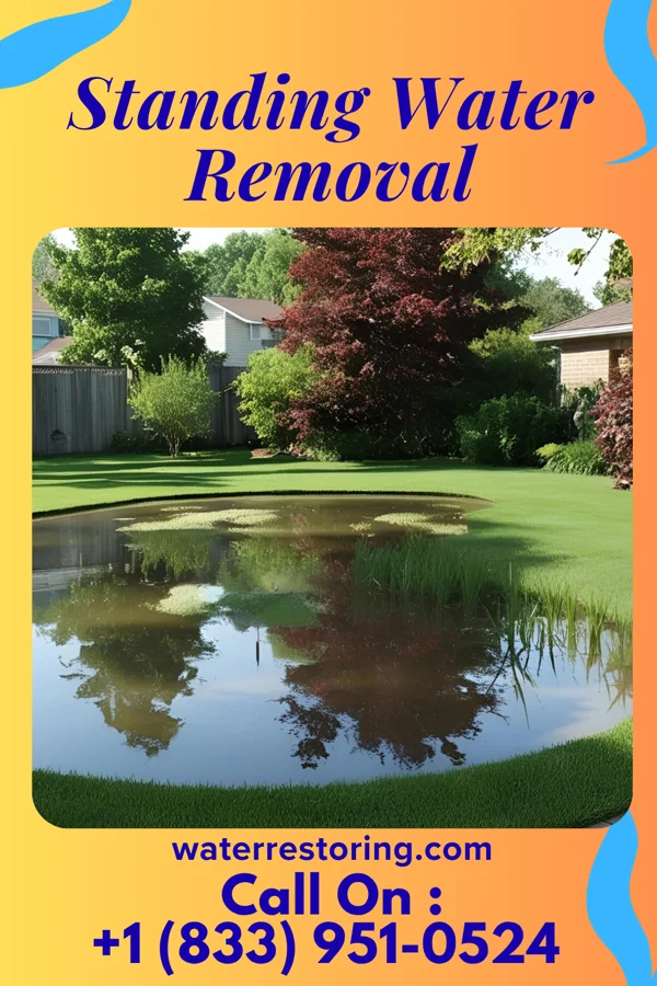 Standing Water Removal in Milan, MO